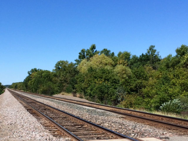 Will this be the scene this fall, or will railroads be able to handle the upcoming large corn and soybean harvest? BNSF railroad tracks along the Northern Transcon early September 2014. (DTN photo by Mary Kennedy)